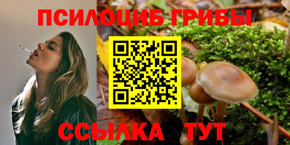 Братск  Галлюциногенные грибы Psilocybe  Галлюциногенные грибы прущие грибы  Вход с VPN 
